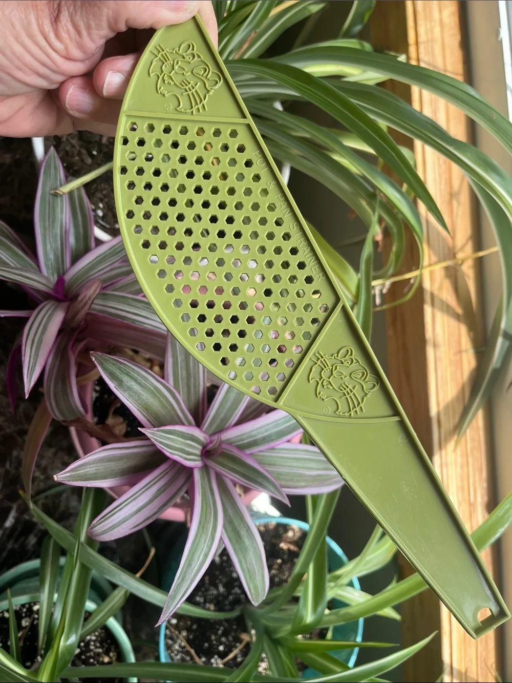 Vtg ESSO Exxon TONY THE TIGER Pot Strainer AVOCADO GREEN Plastic MCM Advertising